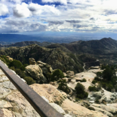 On a Road Trip Above Tucson