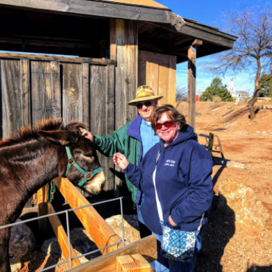 Feb 25th, We Road Tripped to Tombstone Az