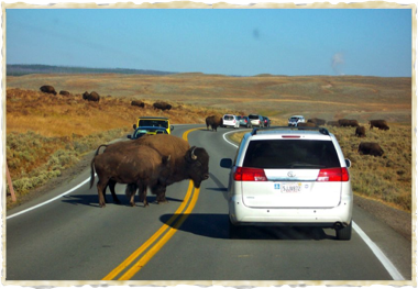 Yellowstone