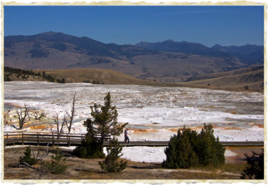 Near Mammoth