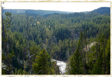Yellowstone River