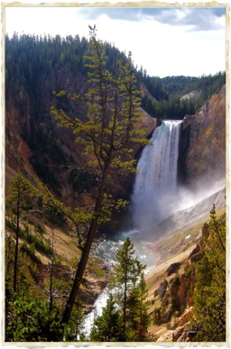 Yellowstone